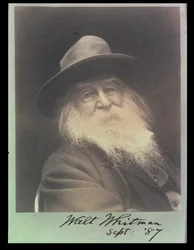 "Den skrattande filosofen", ett porträtt av Walt Whitman (1819-91) september 1887
